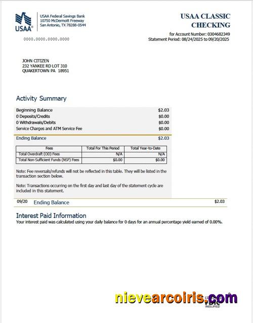 USAA Federal Savings Bank statement Word and PDF, version 2
